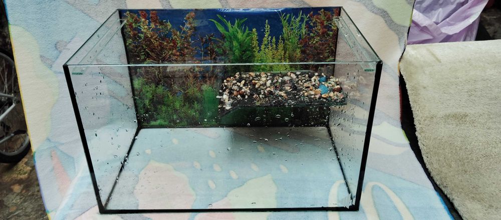Aquário para tartaruga