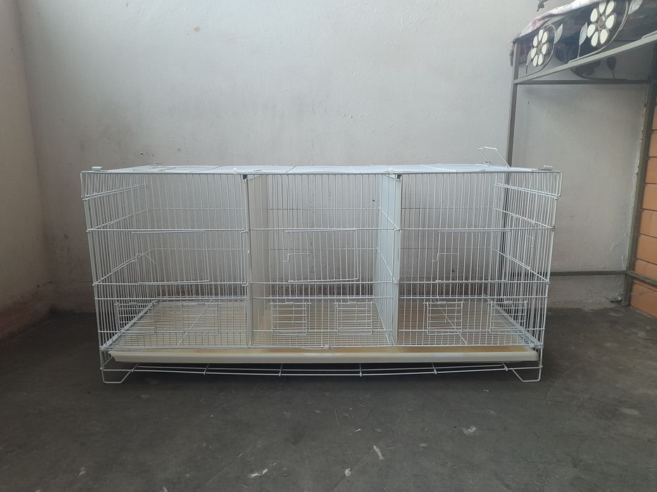 Gaiola Viveiros (só residentes Ilha Madeira)