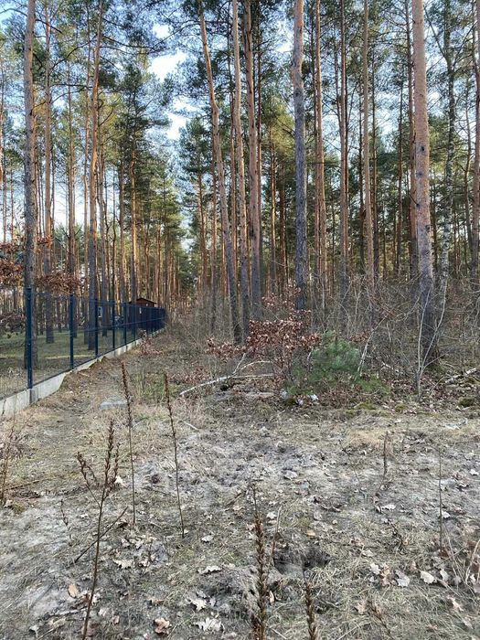 Działka Sulejówek ulica Wspólna - Widok 3
