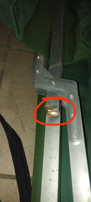 Łóżko turystyczne składane 2szt