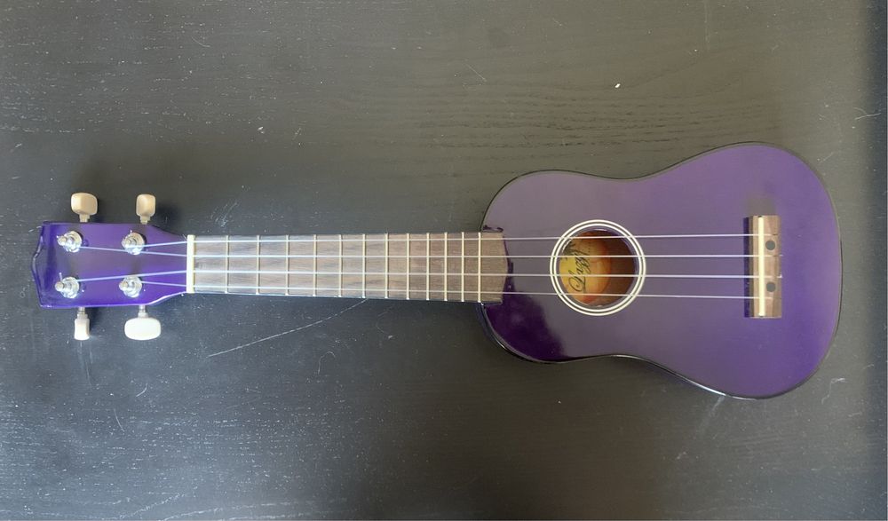 Ukulele Lazy + Mala rígida da CNB64175824777857121