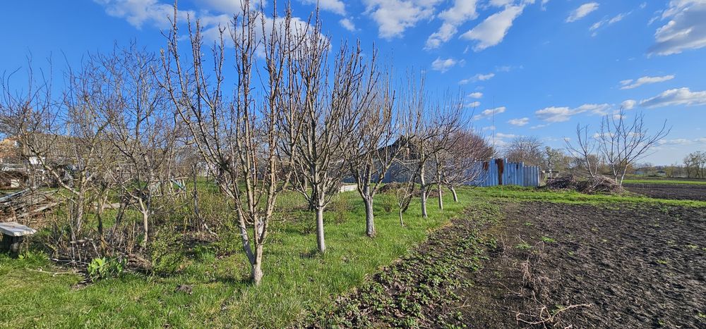 Продаж будинку с Савинці,вихід до ставка