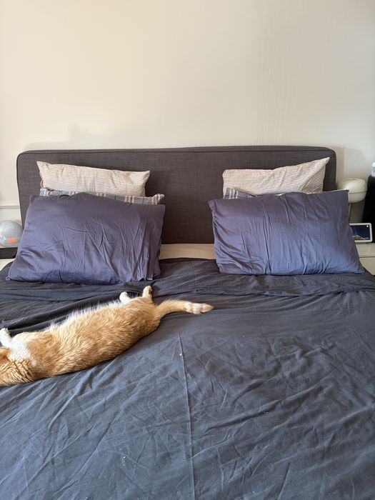 Cama continental Ikea DUNVIK 180x200