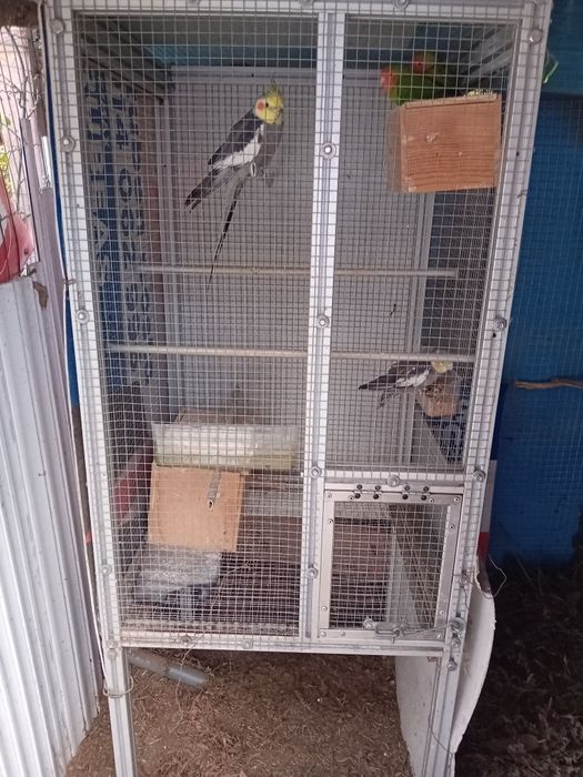 Vendo gaiola completa