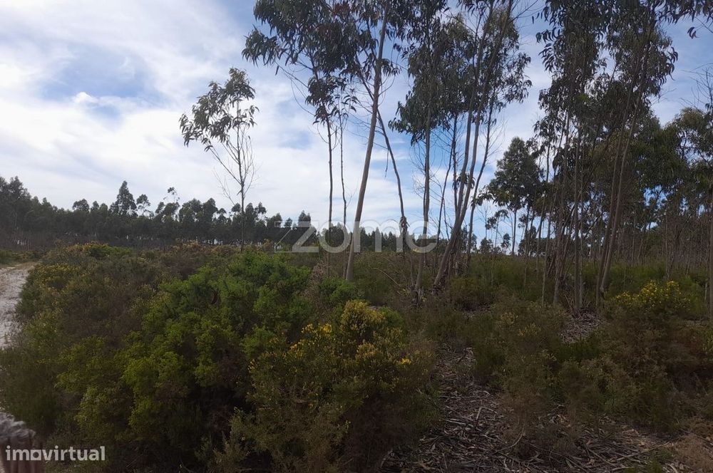 Terreno Rustico com 12580m2