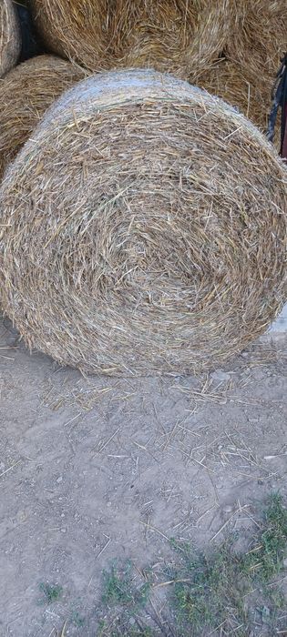 Sprzedam slome  siano  transport