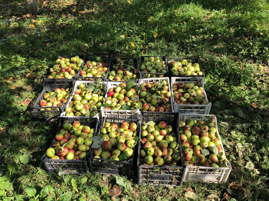 Обмін на квартиру . 20 км від міста