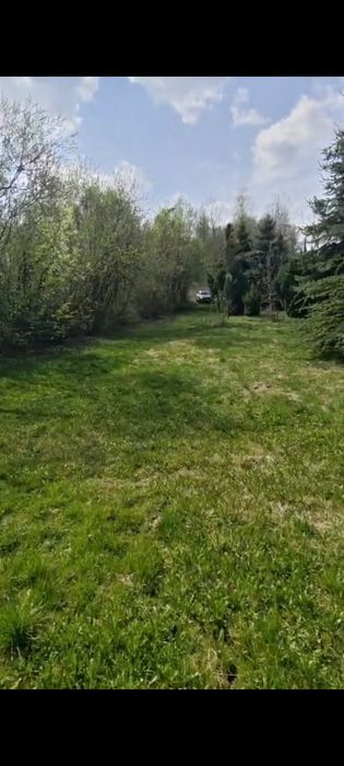 Działka z domkiem Tarnawa - Widok 5