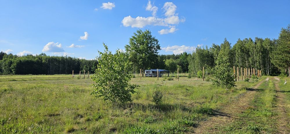 Działka budowlana 1208 m²; Warunki Zabudowy; 26-903 Bobrowniki - Widok 2