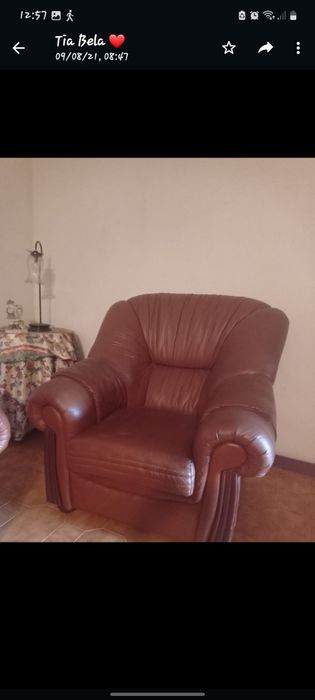 Sofás castanhos em pele