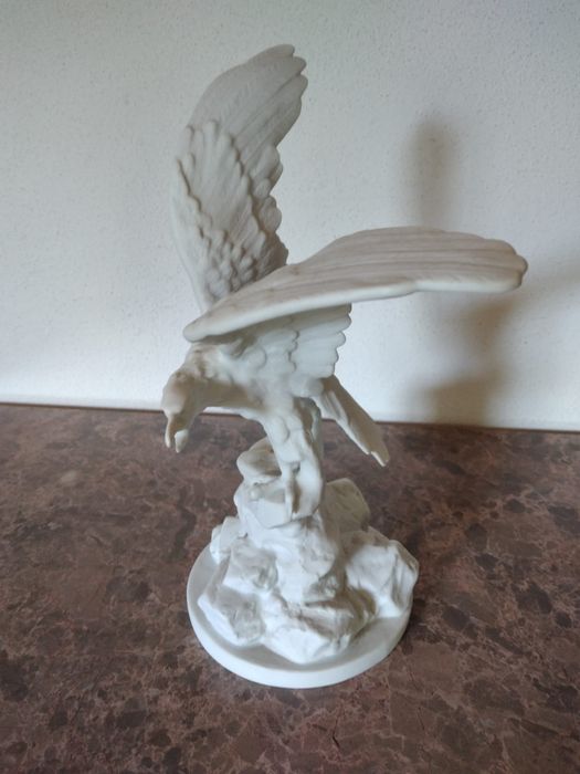 Águia Americana, Vista Alegre