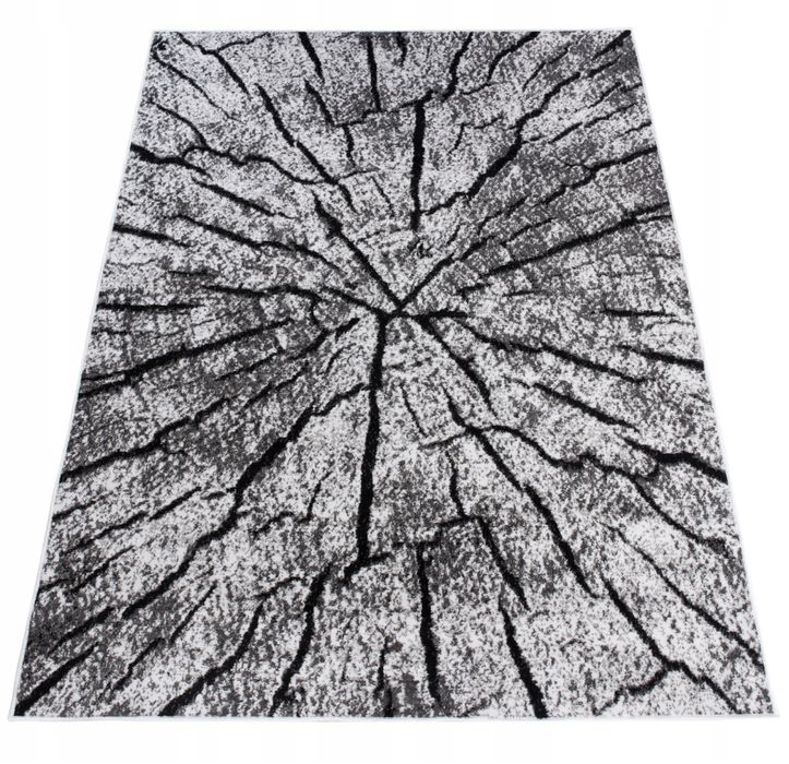 Dywan 160x220 Miękki Nowoczesne Wzory Odporny Na Ścieranie Duży