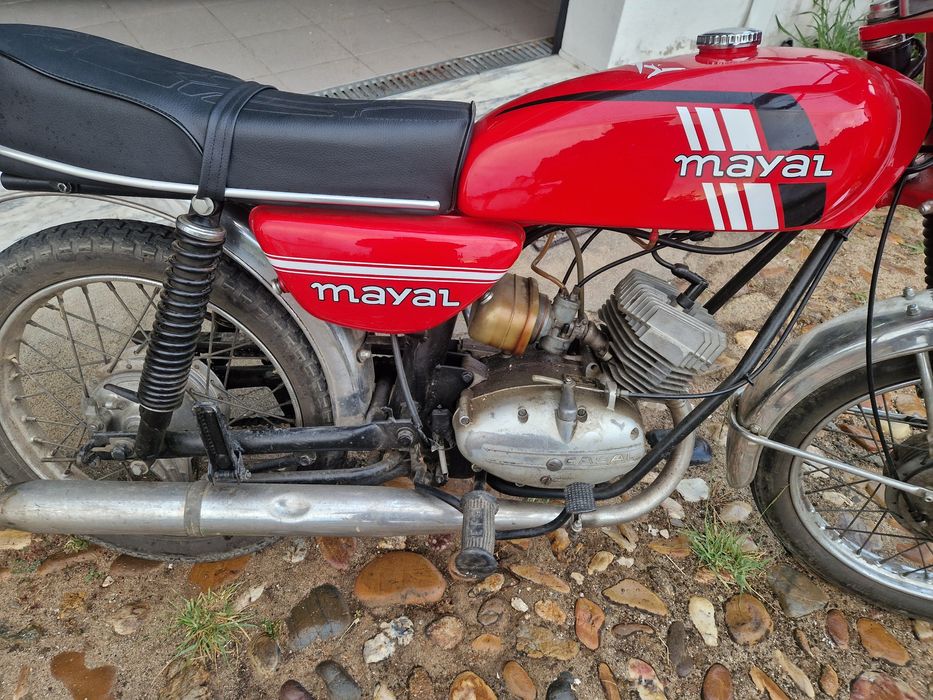 Casal 50 Mayal Original