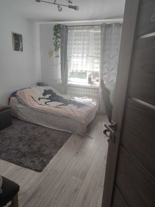 Zdjęcie 4