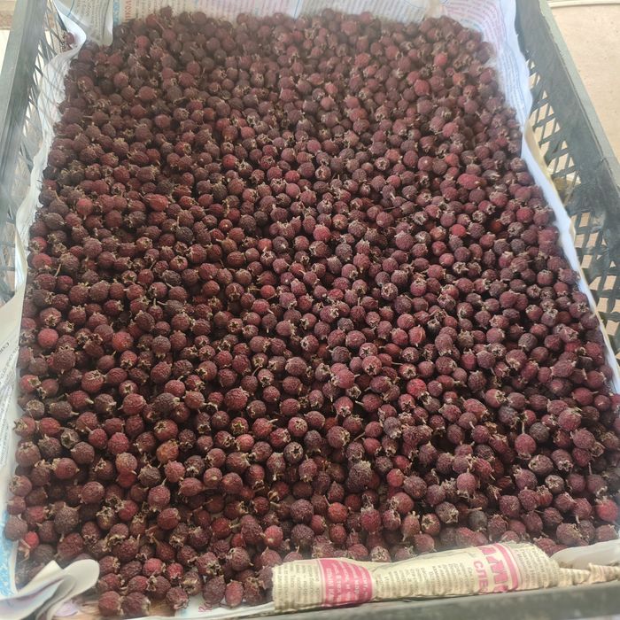 Боярышник (глід) сухой 2025г.