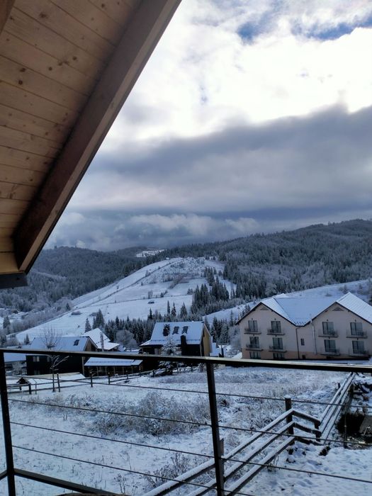 Відпочинок в Карпатах