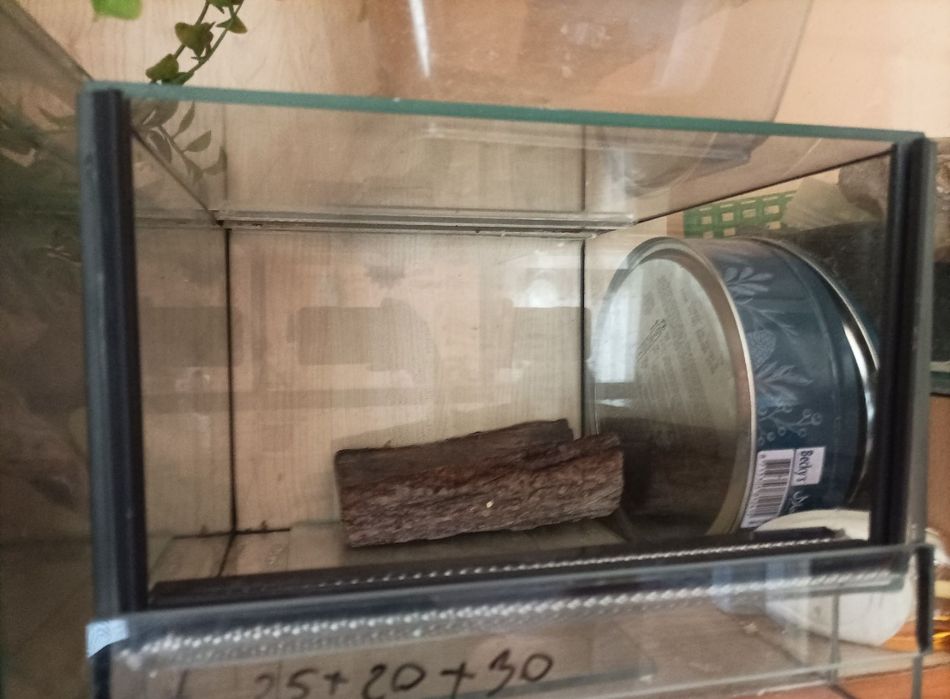 Terrarium dla zwierząt egzotycznych
