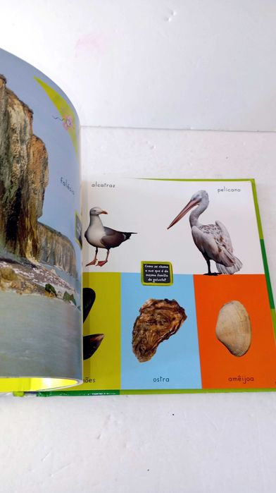 Dicionário de Imagens - Natureza