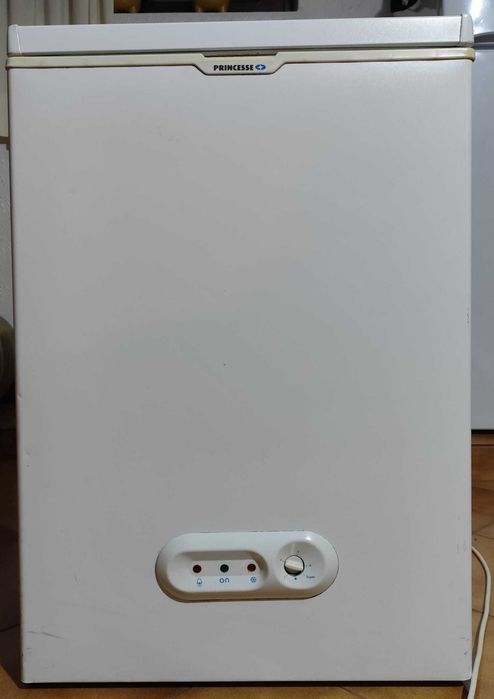 Arca congeladora (Princesse, 105L)