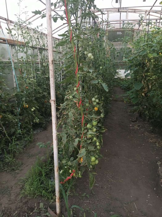 Продам будинок в с. Лубське Фастівського району Київської обл. 58 км. від Києва  10 км. до Бишева.