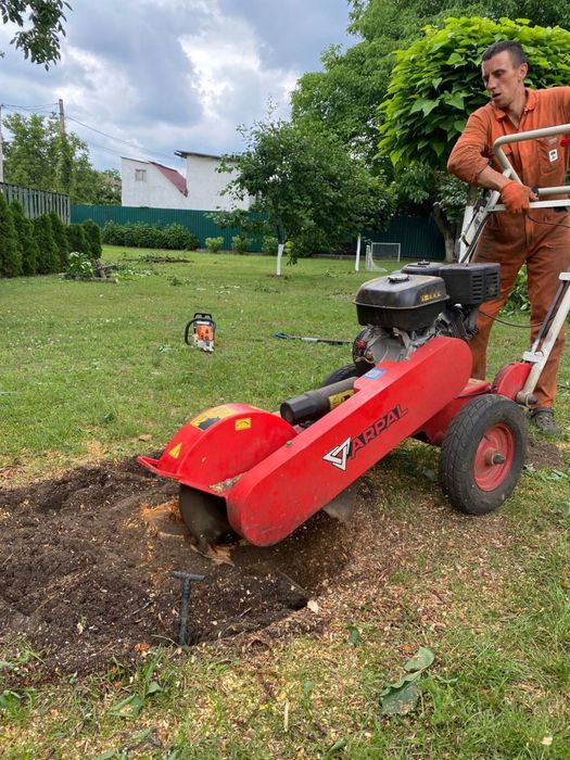 Видаленя дерев,корчування пнів,подрібненя гілок,покос трави,утилізація