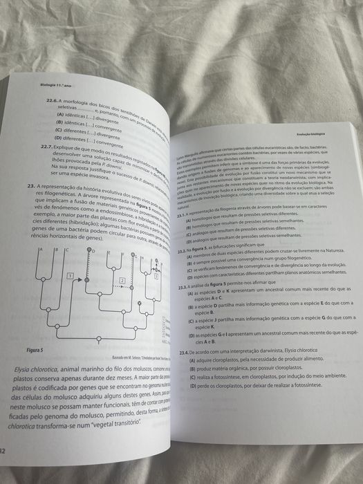 Questões de Exame Resolvidas - Biologia e Geologia - 10.º e 11.º Anos