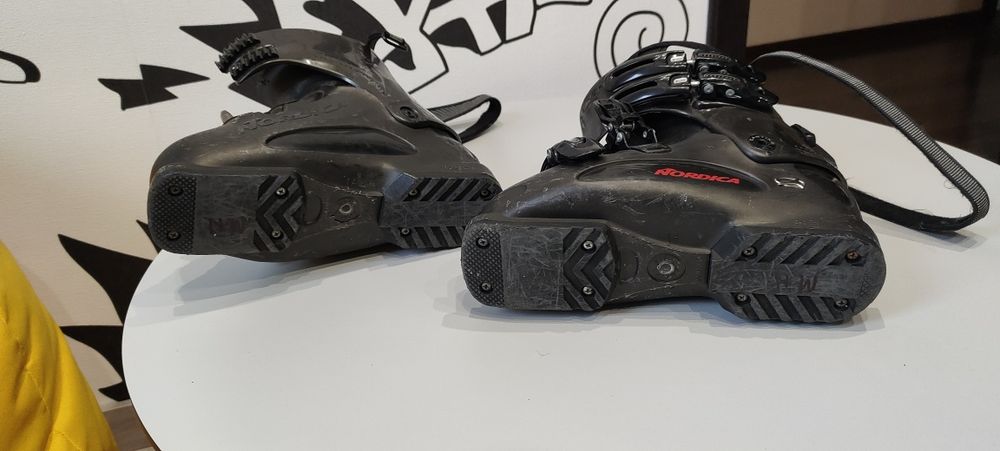 Buty narciarskie 24-24,5