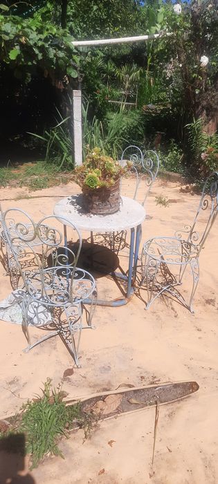 Vendo varias plantas
