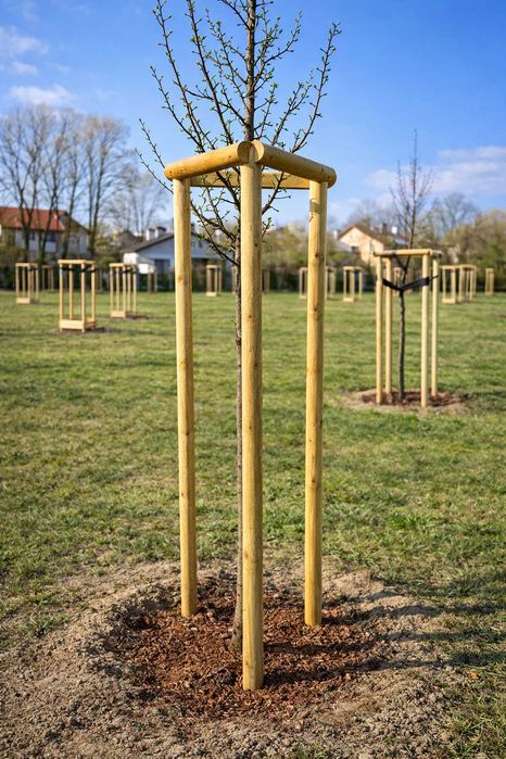 Podpora do drzew KATALP 2,5m – zestaw impregnowany (taśmy + wkręty)