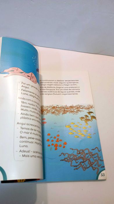 A Longa Viagem de Angui e Luna