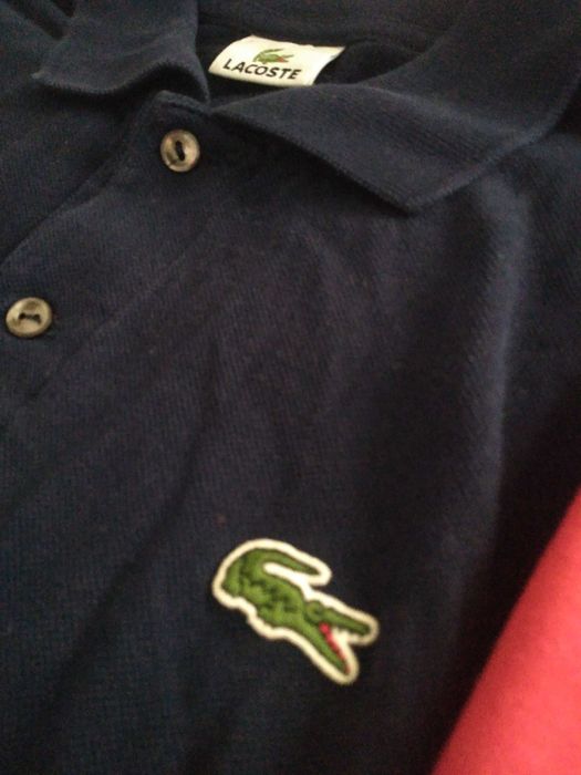 Polos Lacoste, Loding, Springfield e Fred Perry em muito bom estado