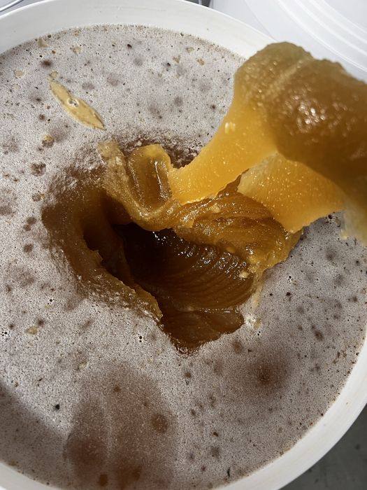 Miód pszczeli,matki pszczele,odkłady pszczele,pszczoły