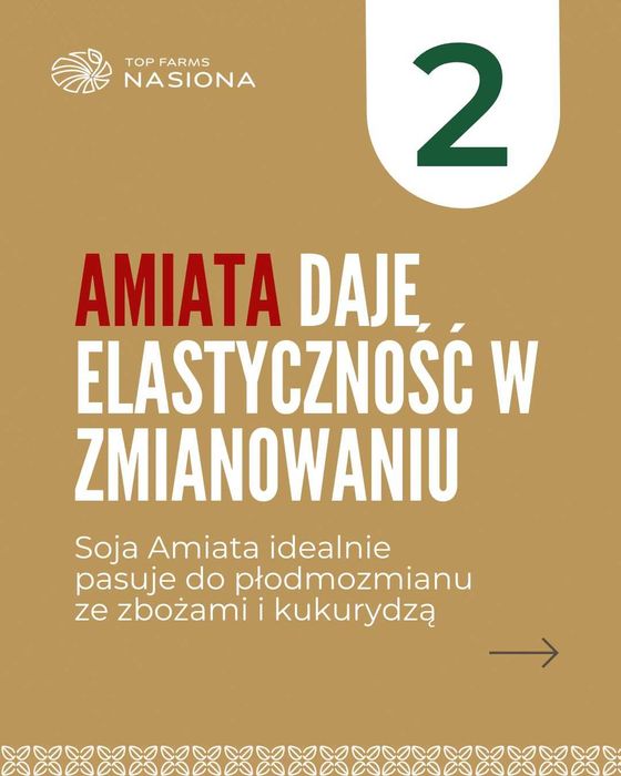 Nasiona soi Amiata - plonem wymiata! Gotowe do siewu, C1