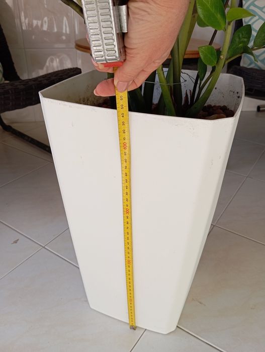 Planta + vaso - altura: 1m