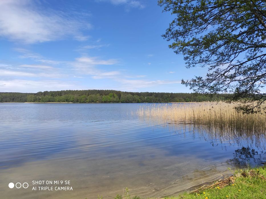 Kemping/pole namiotowe