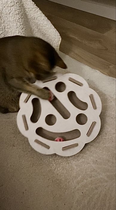 Іграшка для котів