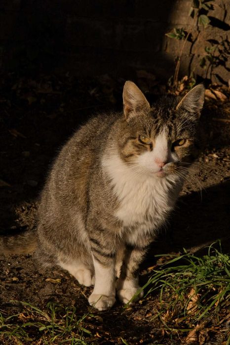 Serduszko Jasia cicho i pokornie czeka...