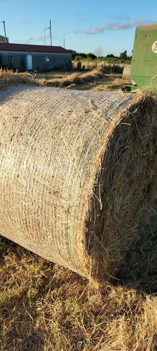 Rolos de palha mistura de vários fenos nascediços