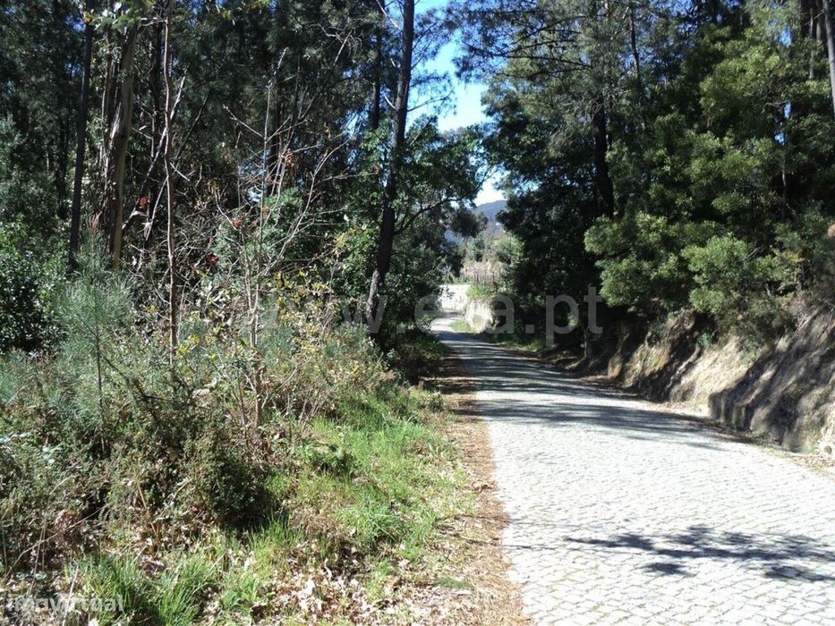 Terreno / Marco de Canaveses, Sande e São Lourenço — Sande E São Lourenço, Porto
