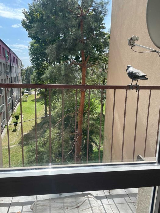 2 pokoje umeblowane Szombierki centralne ogrzewanie