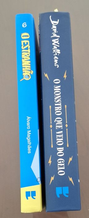 Livros juvenis (varios)