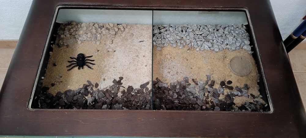 Terrário | Mesa de centro de sala (peça unica)