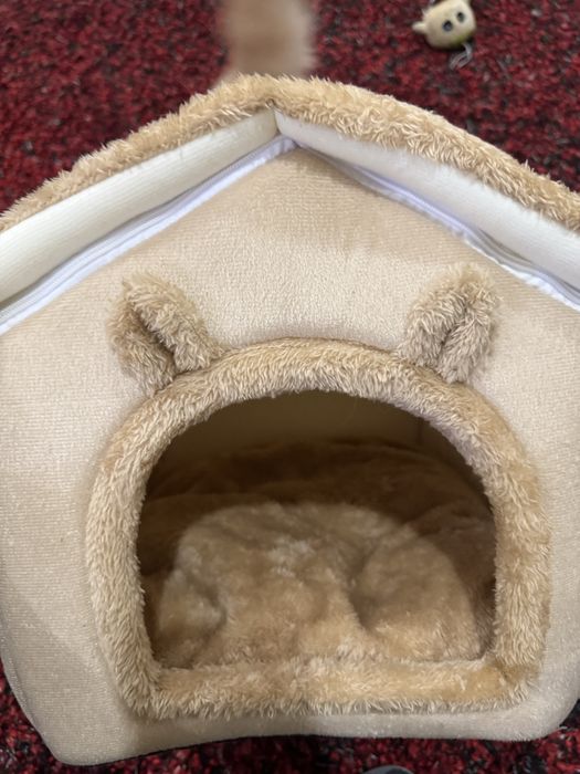 Casinha descanso para gatos