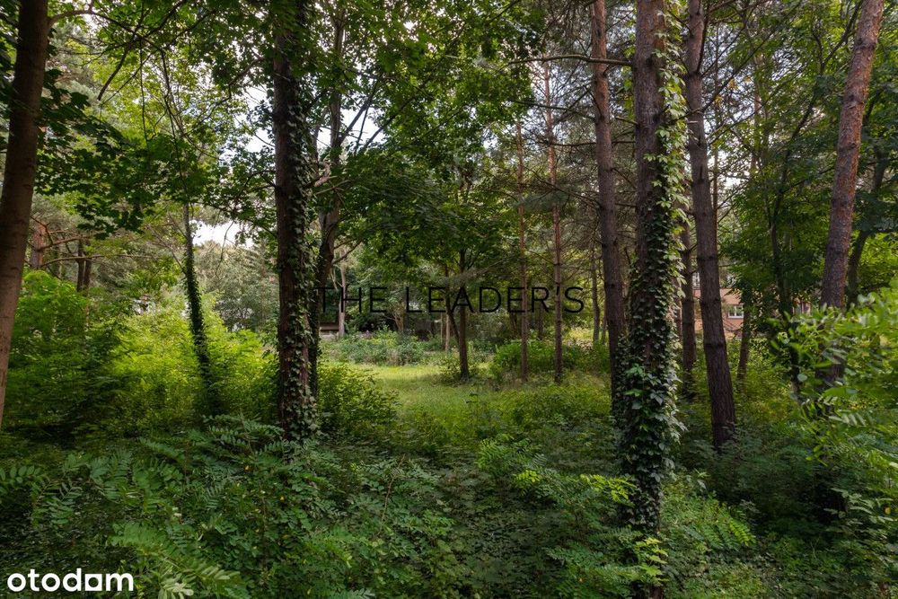 Działka budowlana 3286 m² | Konstancin-Jeziorna
