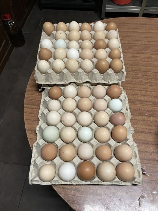 Ovos caseiros