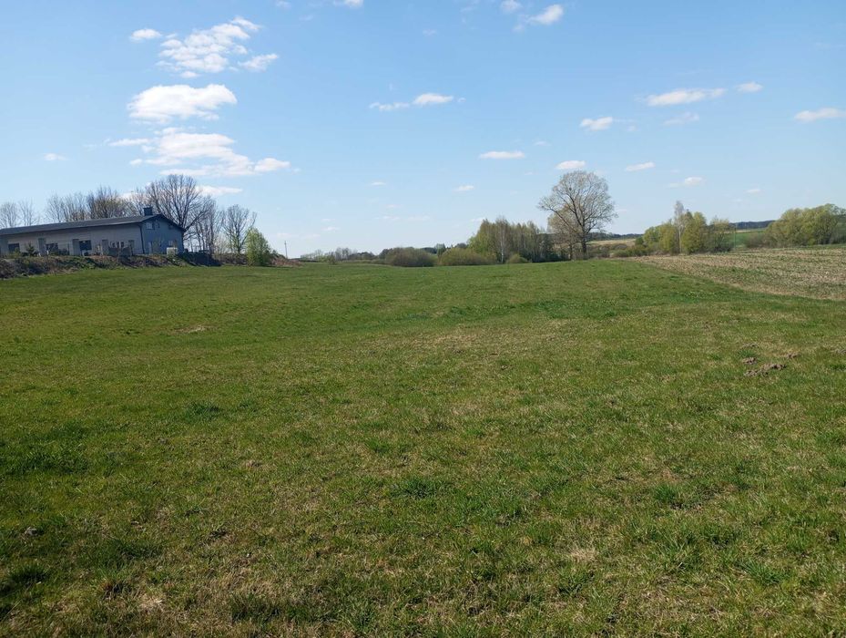 Działka z warunkami zabudowy 1.29 ha