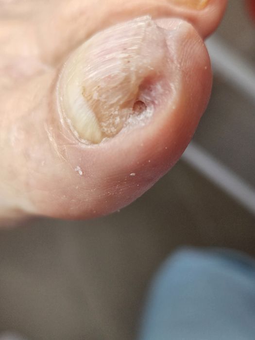 Podolog Mobilny Piaseczno I okolice