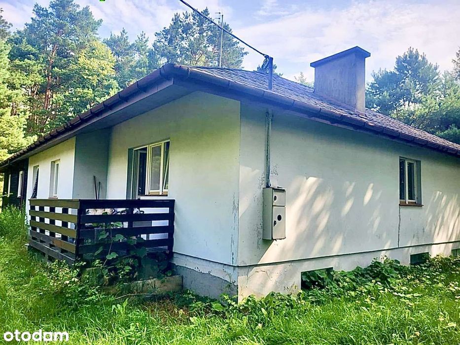 Twój zielony azyl nad wodą w Sulejowie!