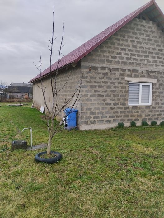 Продам дом королево