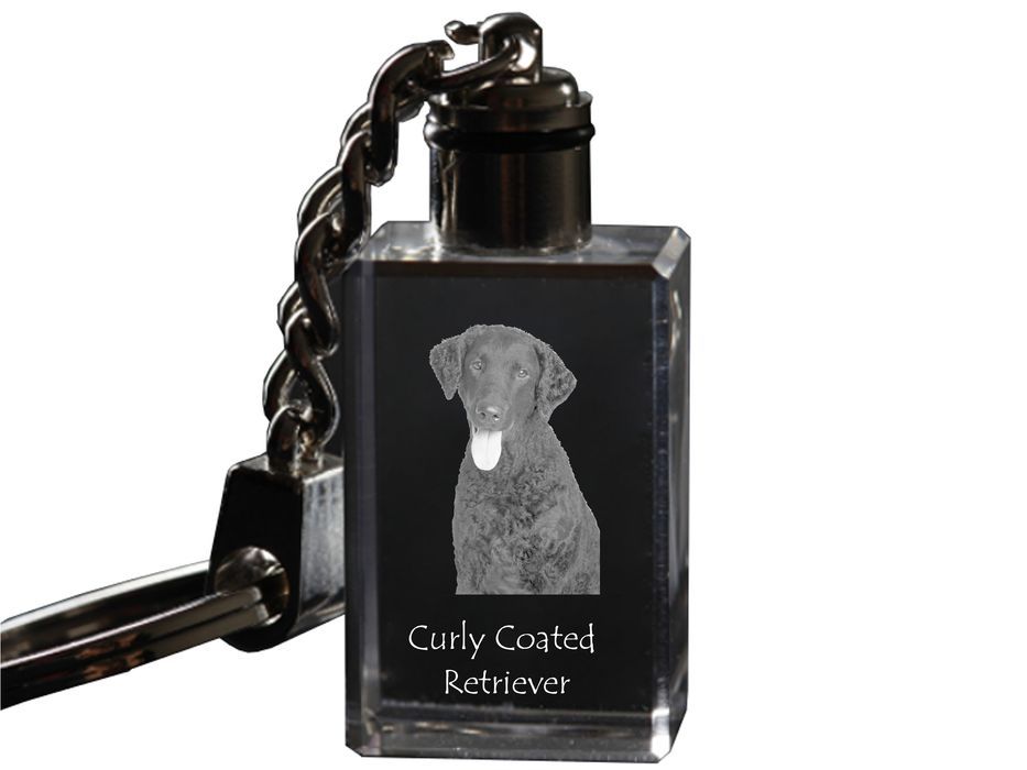 Curly Coated Retriever brelok kryształowy z psem Art-Dog